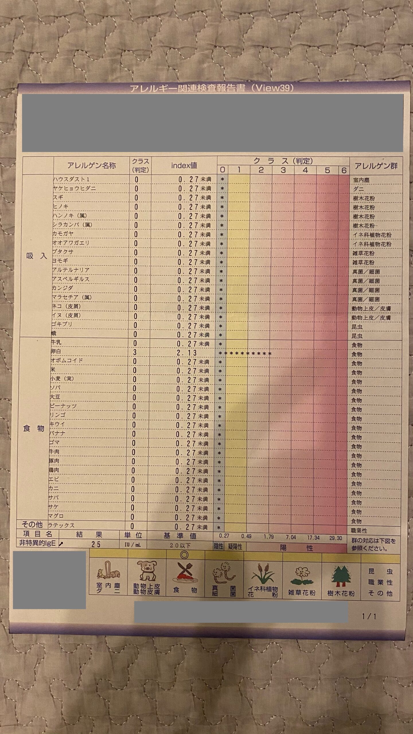 息子が卵アレルギーを発症 経口免疫療法の進め方とその後の経過について